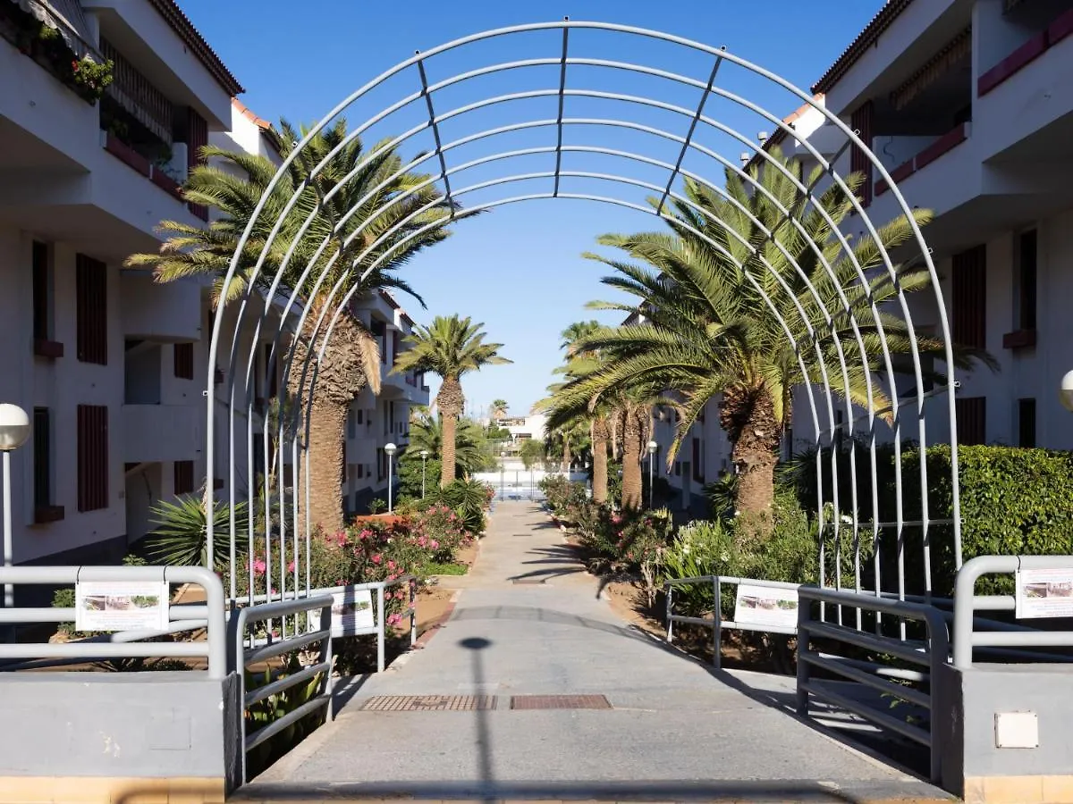 Apartment Comfy Altemar-2 By Interhome Playa de las Americas  0*, Playa de las Americas (Tenerife)