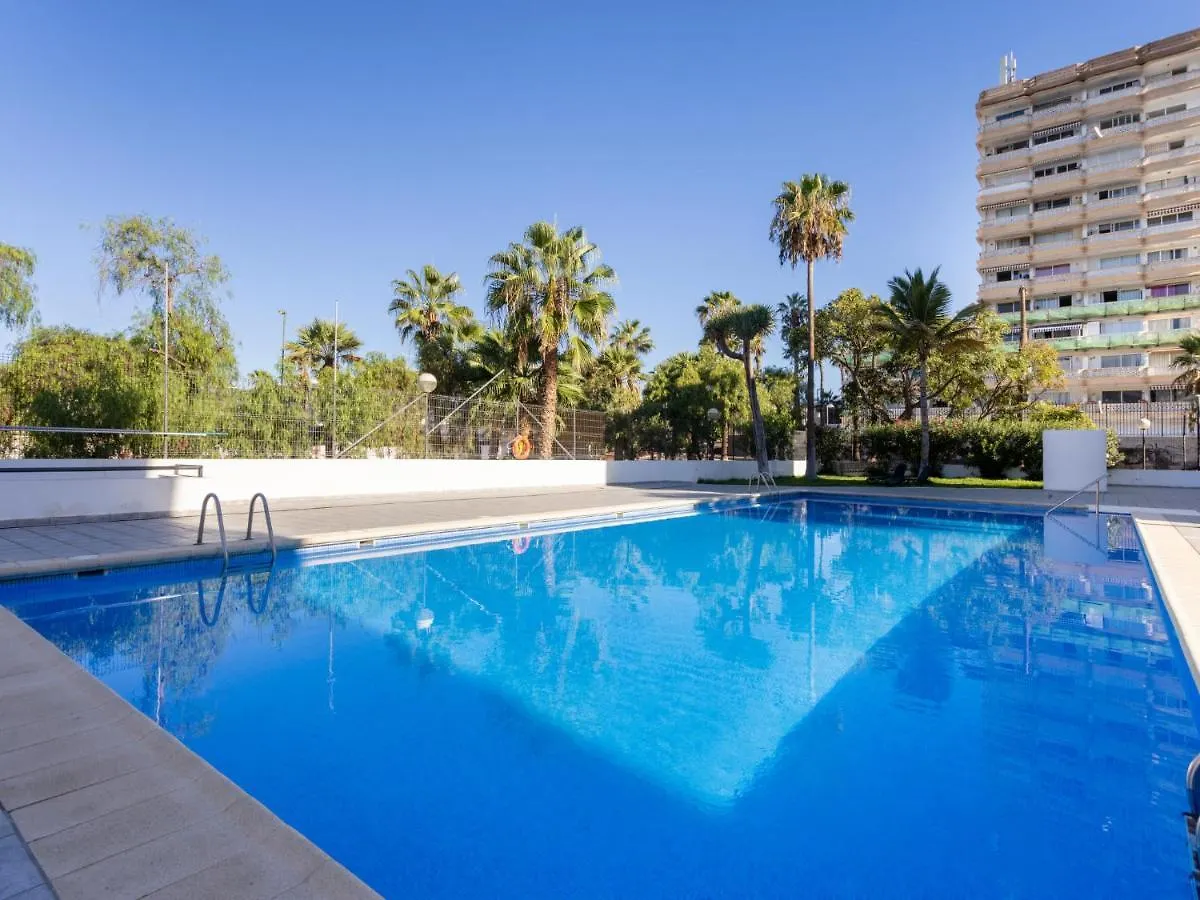 Apartment Comfy Altemar-2 By Interhome Playa de las Americas   Playa de las Americas (Tenerife)